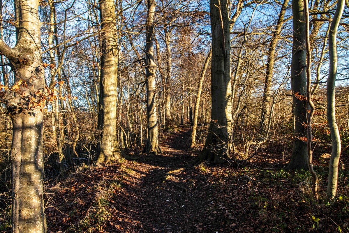 Stacks Image 17